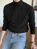 Wearint 2024 New Fashion  Man Sweater Mens Solid High Neck Long Sleeve Sweater SKUJ92143